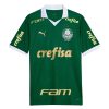 Palmeiras Home Soccer Jersey 24-25 (Full Sponsor)