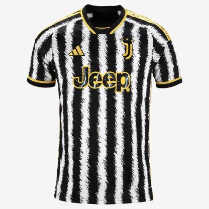 Juventus FAGIOLI 21 Home Jersey 23-24 - Image 2