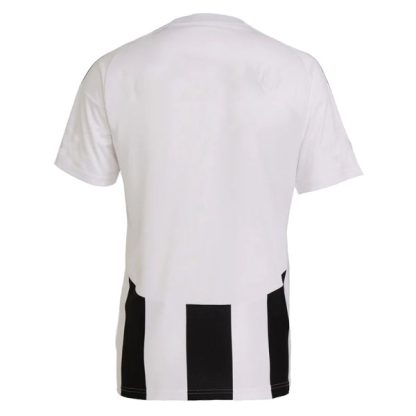 Besiktas Third Jersey 24-25