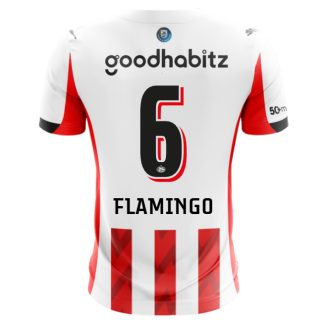 PSV Eindhoven Home FLAMINGO 6 Jersey 25-26