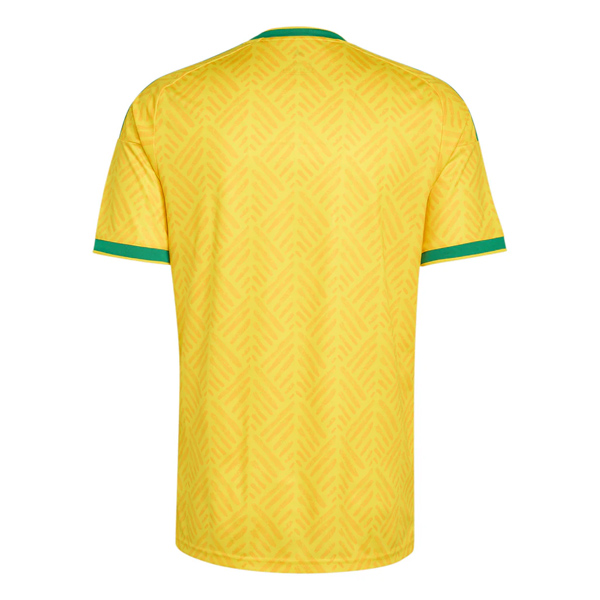 South Africa 2026 (Home)